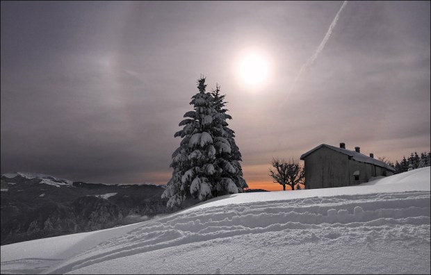 foto di Andrea Gasparotto