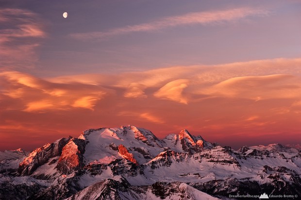 The Guardian of the Queen