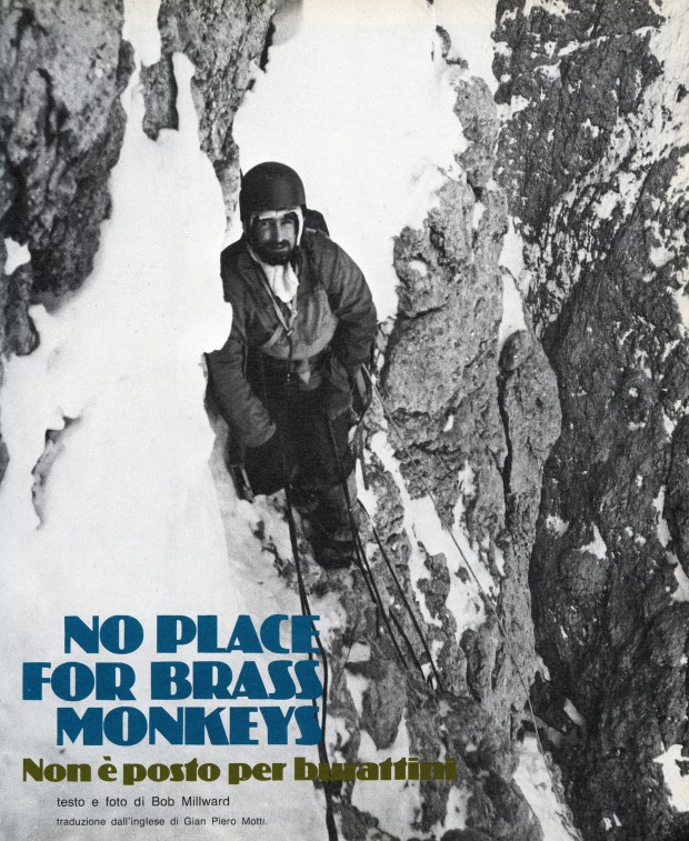 monkeys002resizeforweb