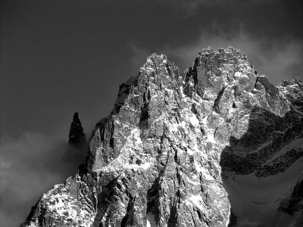 Charmozb_wresizeforweb