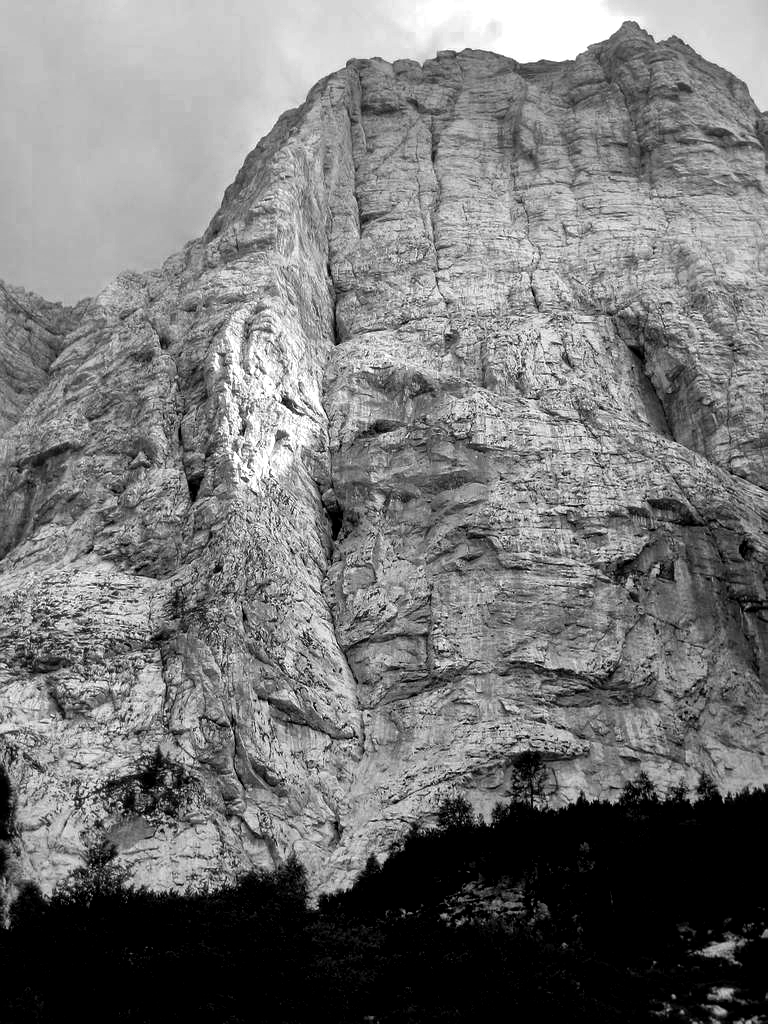 DiedroCozzolinoresizeforweb2