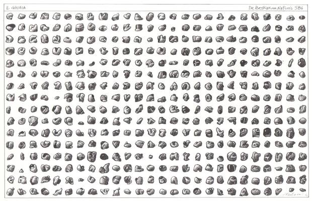 1498006_10202945393140344_111261097_o