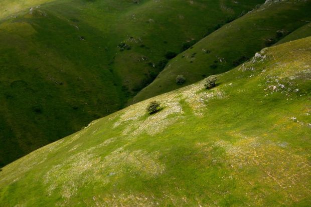 c78c4b84-2739-4734-948d-4519ac8cac3a