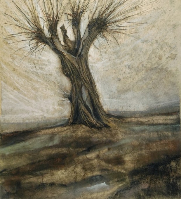 P_20181121_133636-01